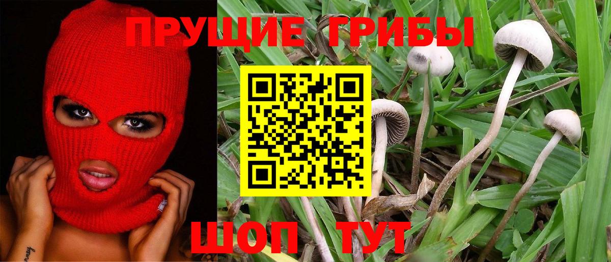 Галлюциногенные грибы GOLDEN TEACHER Находка