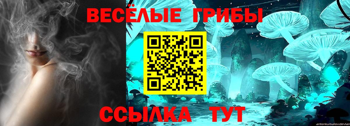Находка  Псилоцибиновые грибы Psilocybine cubensis  Вход с VPN 